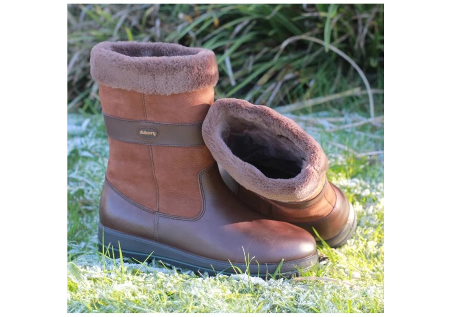 Bottillon pour femme Foxrock Dubarry Walnut